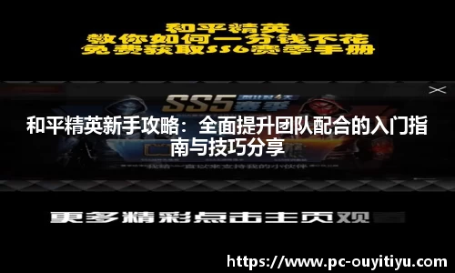 和平精英新手攻略：全面提升团队配合的入门指南与技巧分享